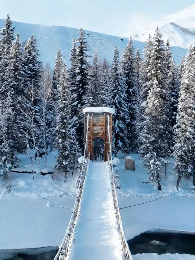 阿勒泰冬季打卡9大封神機位（附3k＋攻略！