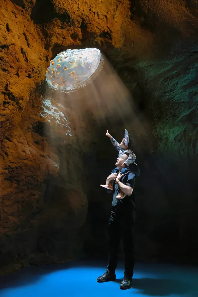 珠海長隆199跟拍｜性價比封神！