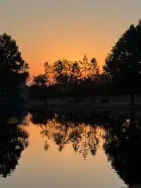 上海辰山植物園|去過超十次,還是想去!