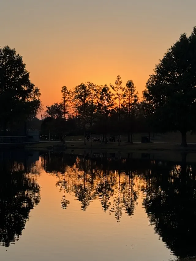 上海辰山植物園|去過超十次,還是想去! 上海辰山植物園|去過超十次,還是想去!