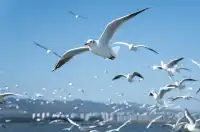 如果冬天只想去一個城市,那就是昆明