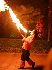 冬遊民族村｜1場大秀+NPC任務，觀鷗季值哭了