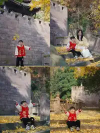 溫江藏著一個「紫禁城」，和銀杏同框太美啦