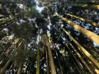 邛崍天台山徒步看瀑布