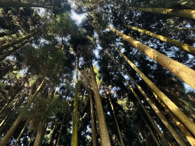 邛崍天台山徒步看瀑布 邛崍天台山徒步看瀑布