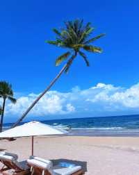 成都往返富國島航線開通