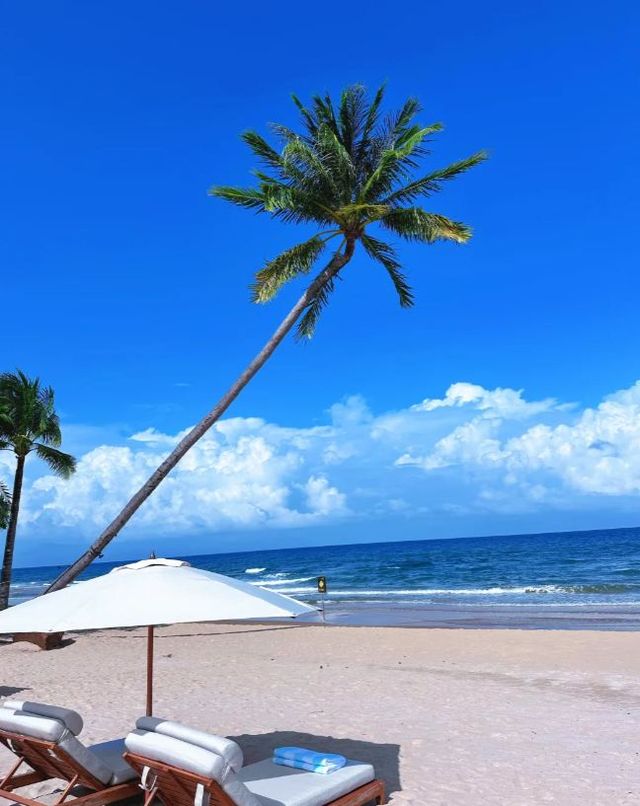 成都往返富國島航線開通