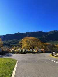 雪山下的藝術暴擊！阿美澤這趟打卡太值了