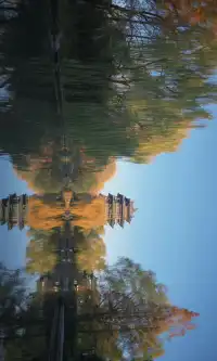 此刻大明湖 像是被打翻的調色盤映射在人間