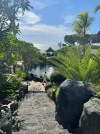 飛躍印度洋的第一站毛里求斯希爾頓