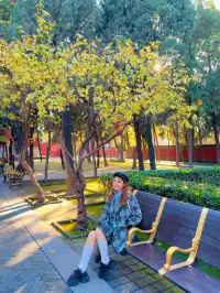 正定隆興寺|魯迅封神的東方美神真的絕了