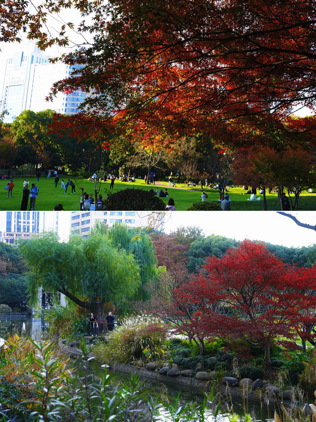 魔都冬日限定延中廣場公園的秘密花園超好拍! 魔都冬日限定延中廣場公園的秘密花園超好拍!
