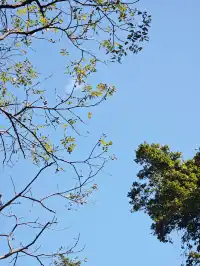 新手徒步路線|城門水塘(附攻略)