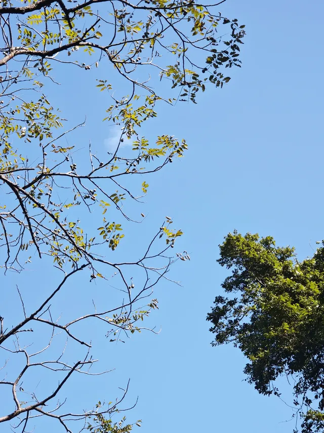 新手徒步路線|城門水塘(附攻略) 新手徒步路線|城門水塘(附攻略)