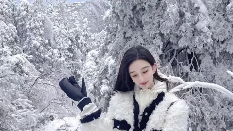 Spontaneous Southern Ice and Snow! Chenzhou Wugaishan Rime + Hemei Yuemian Hotel Ultimate Guide — traveler post in Baishui
