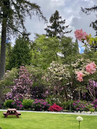 Limited Time Opening Every Early Summer｜A Hidden Boutique Garden in the Forest