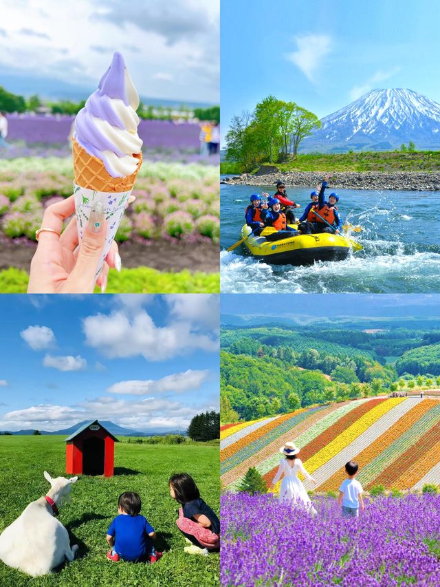 日本7天遊｜不看這篇攻略真的會哭