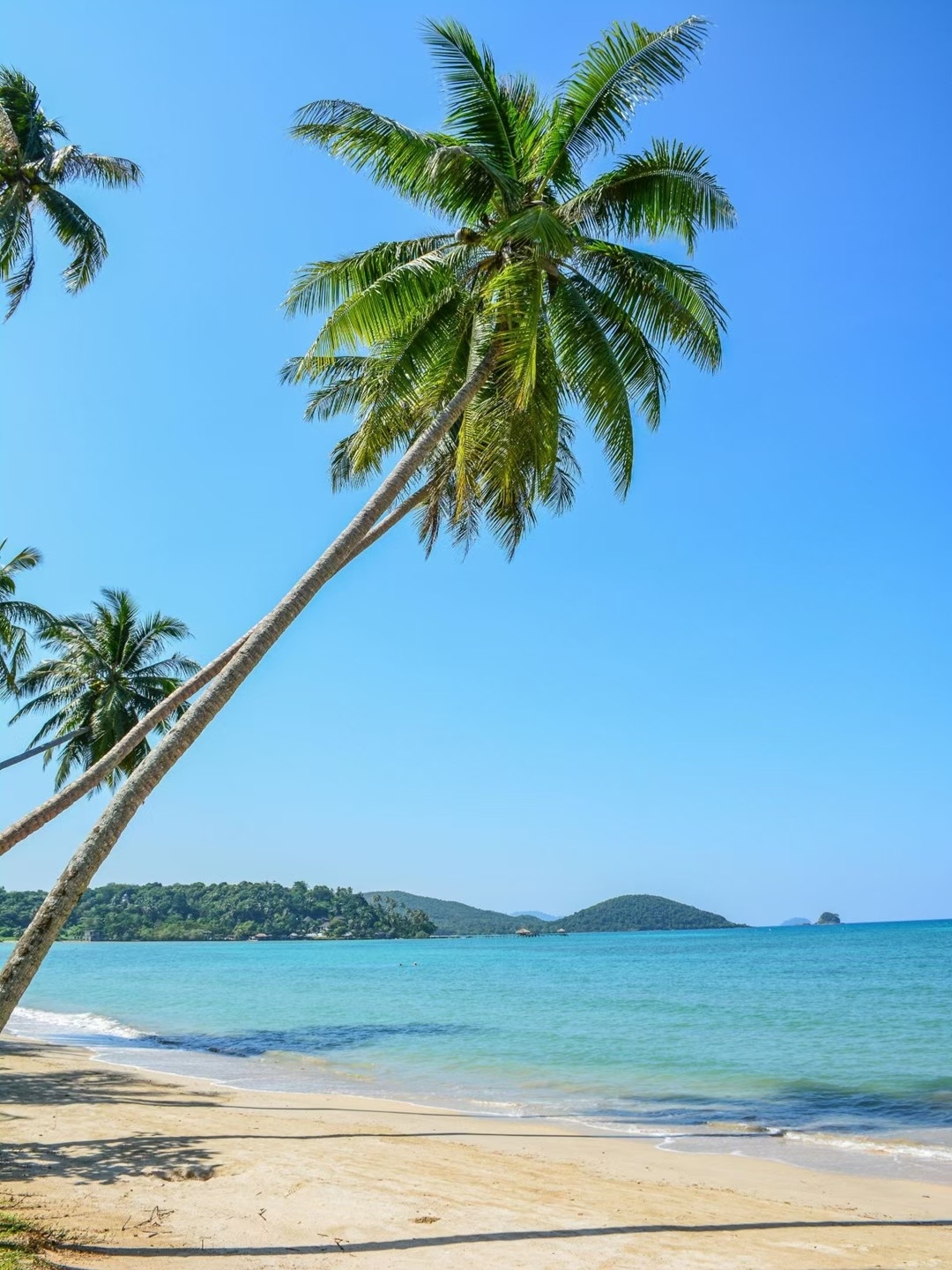 6-Day Thailand Bangkok-Pastoral Island Getaway: Two Islands + Instagrammable White Pagoda