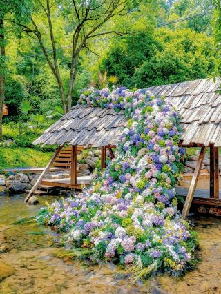 Tonglu’s ultimate summer escape hidden deep in the bamboo forest with a refreshing 24℃ green wonderland