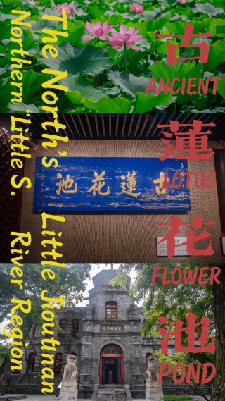 The northern "Little Jiangnan"—Ancient Lotus Pond guide in Baoding, Hebei, stay at Zeus