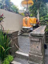 An Enchanting Stay in a Tropical Paradise