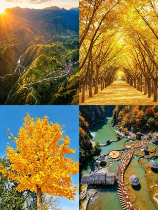 The ultimate hidden gem autumn spots in the Yangtze River Delta! Let's plan a "reverse travel" trip for National Day