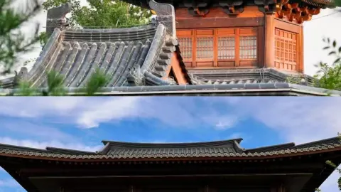 Baru balik dari Xiong'an, beneran jangan ke sini... (karena bakal bikin ketagihan!) — traveler post in Anxin