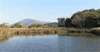 Hong Kong Wetland Park - Wetland and Marshes