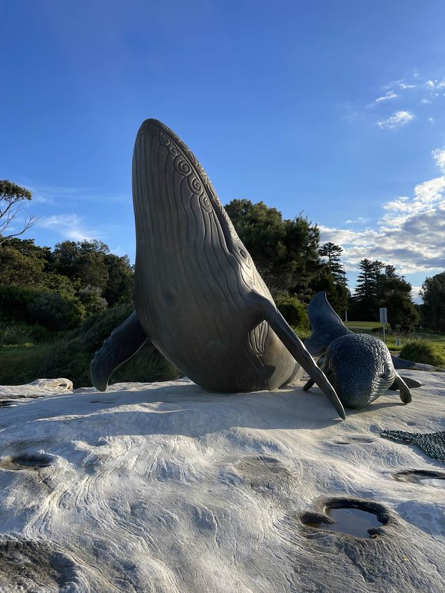 澳洲｜新南威爾士州｜雪梨 鯨魚骨雕像Whale Sculpture Kurnell
