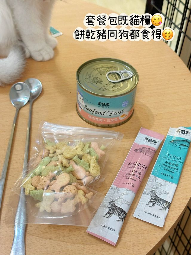 ⭐️貓貓Cafe竟然有豬仲有狗？🐱🐷🐶