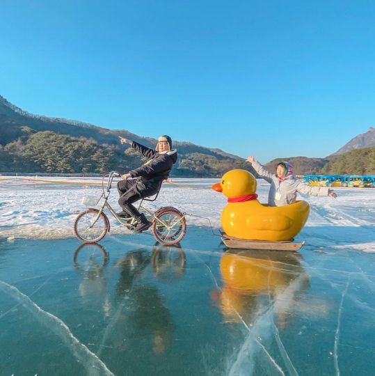 귀요운 오리썰매,, 존잼🐤