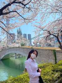 잠실 하루(봄) 놀거리 추천🌸