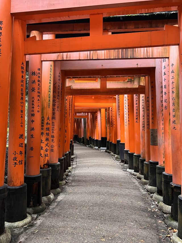 교토 당일치기 여행 #2 ⛩️여우신사, 🎎기온거리,🥢맛집