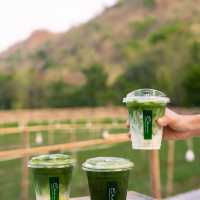 Chan nature cafe’