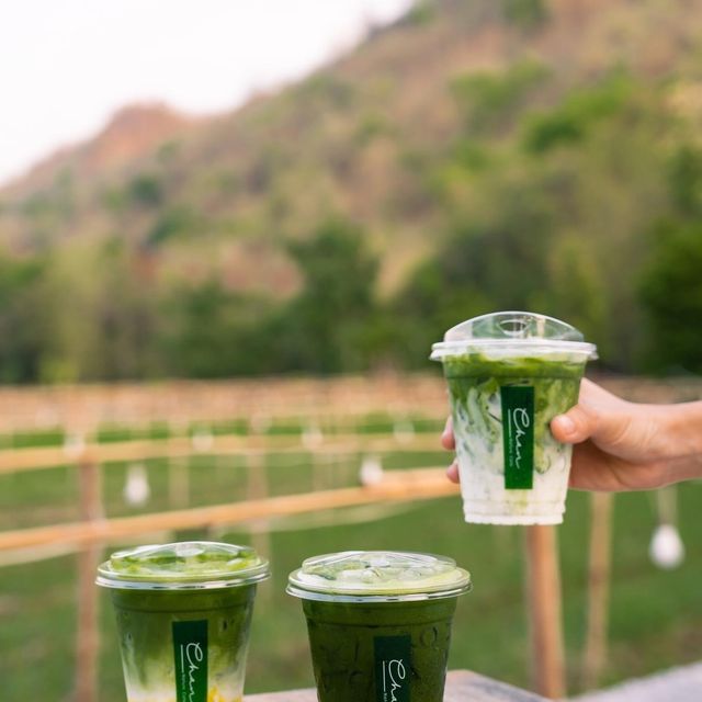 Chan nature cafe’