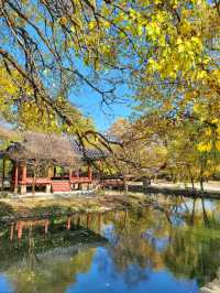 춘향제가 열리는 아름다운 한국의 정원, 광한루원🌳