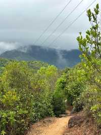 Hiking 