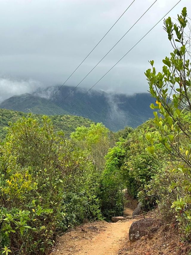 Hiking 