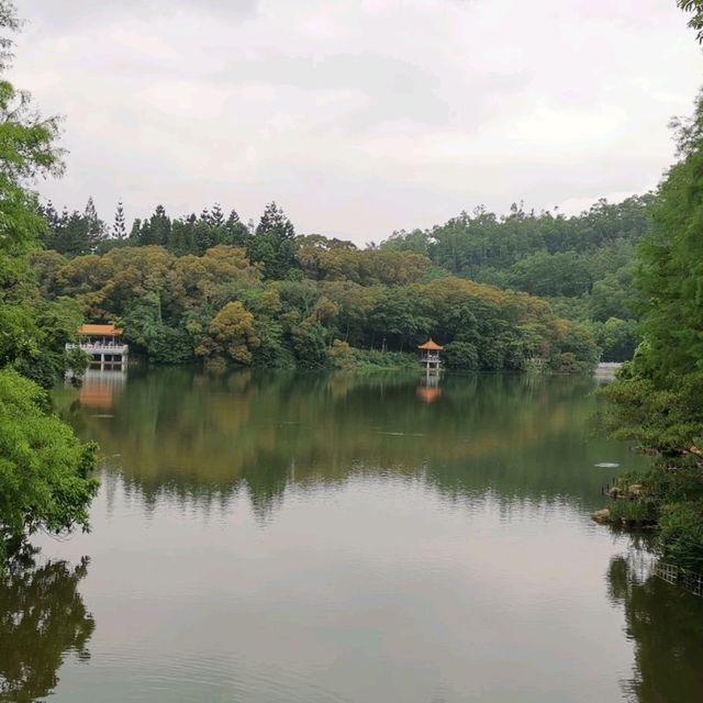 仙湖植物園