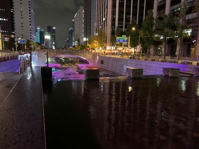 Cheonggyecheon Stream 🦆