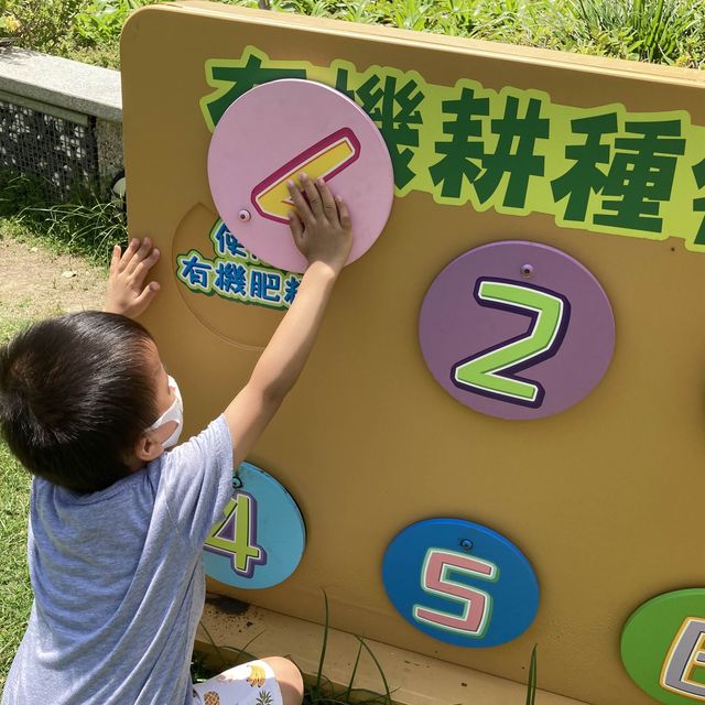 《青衣城戶外「綠化」升級 🌳，設三大互動環保打卡位📸】