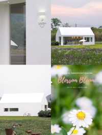 🌼คาเฟ่ในสวนดอกไม้ 🍃นาทีนี้ยกให้ ‘Blossom bloom’ 