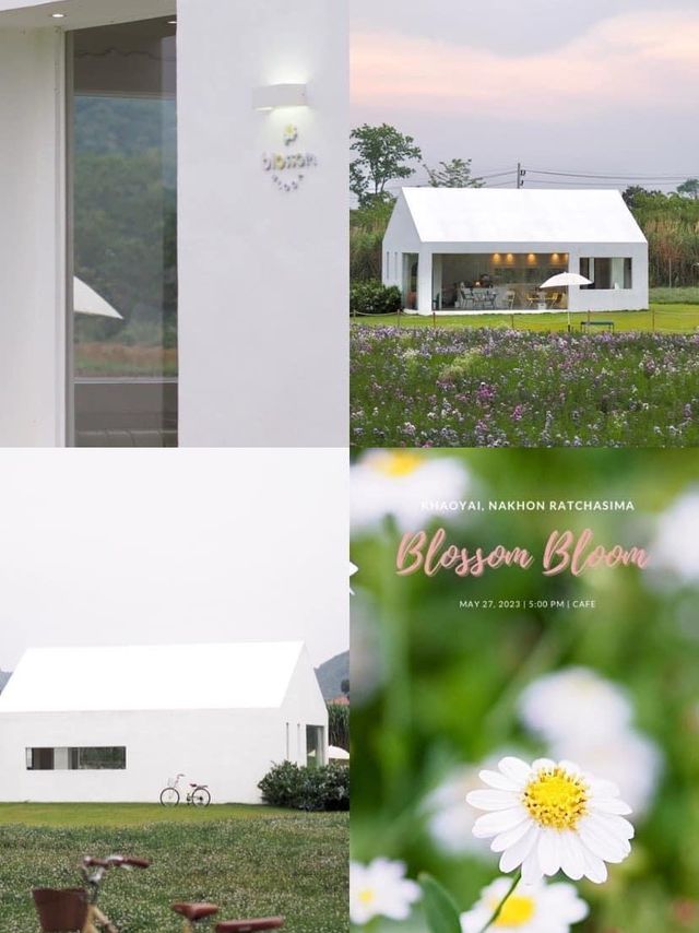 🌼คาเฟ่ในสวนดอกไม้ 🍃นาทีนี้ยกให้ ‘Blossom bloom’ 