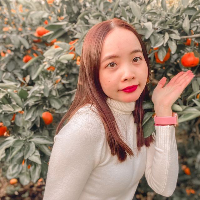 JEJU TRIP