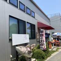 平塚漁港の食堂は新鮮な魚盛りだくさん！