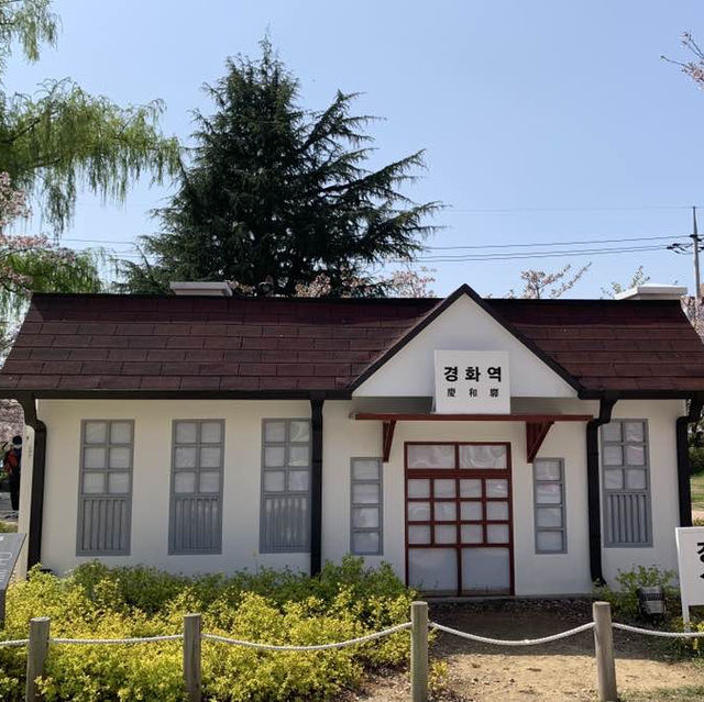 경남의 벚꽃명소 중 하나인, 진해 경화역
