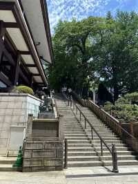 估唔到成田咁好玩 🎏賞日系建築⛩️嘆美食🍱再血拼