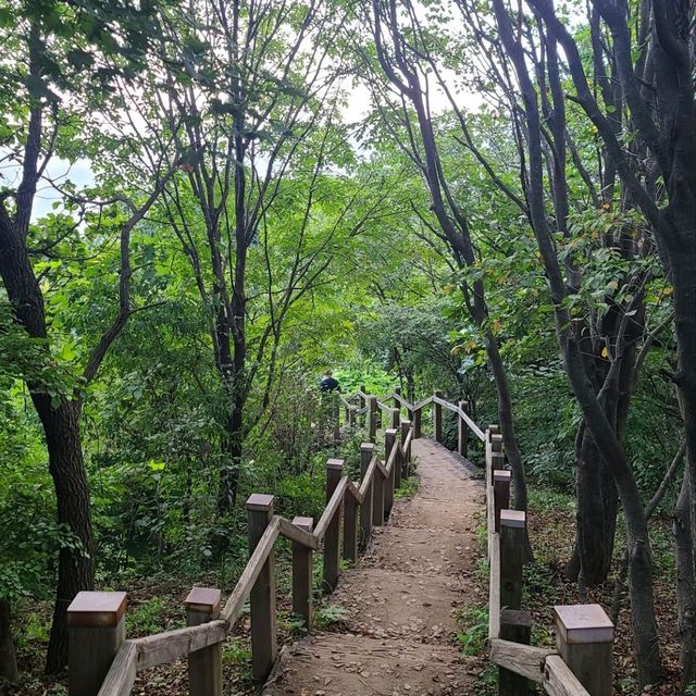 전망, 약수터, 계곡이 멋진 하남 검단산