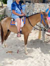 泰國騎馬體驗🐴🌈馬毛好滑😍