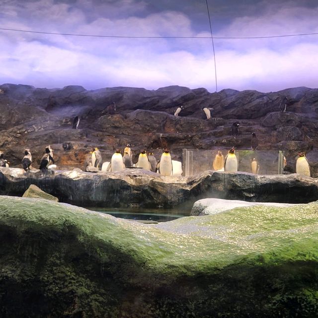 Happy Feet